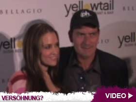 Video – Charlie Sheen und Brooke Mueller vor Gericht