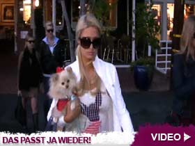Video – Paris Hiltons tierischer Fashion-Zwilling